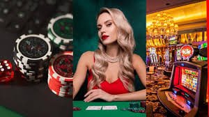 bromo77 login Monopoly Live betting interface showing payout odds and segment labels